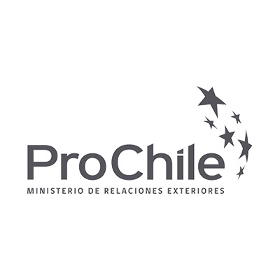 05-logo-prochile