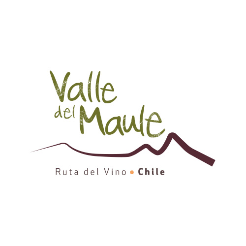 13-logo-maule
