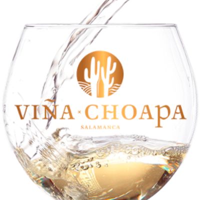 logo-choapa